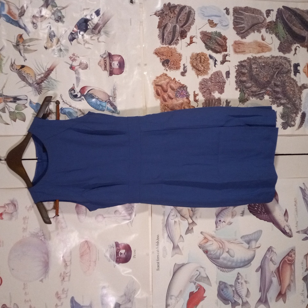 J Crew Lavender Short Sleeveless Dress Women's 2p